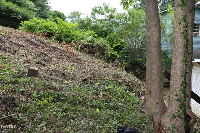 $11,000 | 213 Railroad Avenue, Appalachia, VA 24216