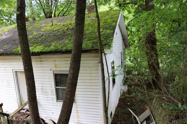 $11,000 | 213 Railroad Avenue, Appalachia, VA 24216