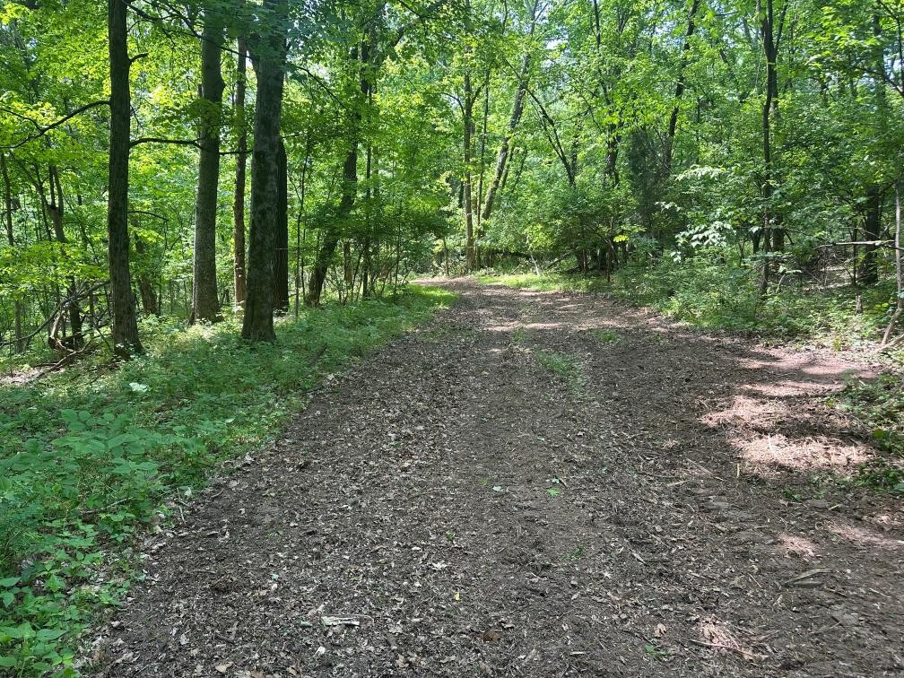 10515 Paw Paw Springs Road Arrington, TN 37014 - Photo 9 of 13 a view of outdoor space and trees