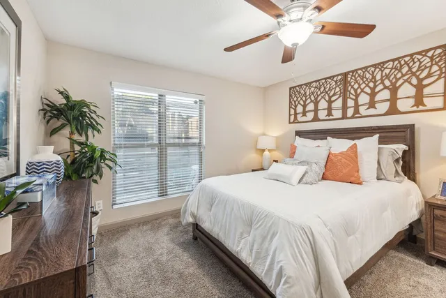 a bedroom with bed and a window