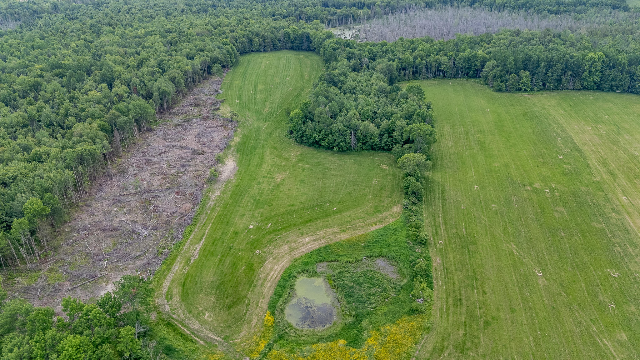 585 A Upper-Charleston Road Charleston, ME 04422 - Photo 7 of 159 DJI_20260612133600_0819_D