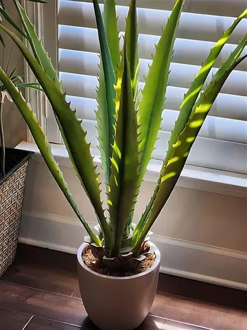 $720,000 | 3581 Adelaide Crossing, Brookhaven, GA 30319