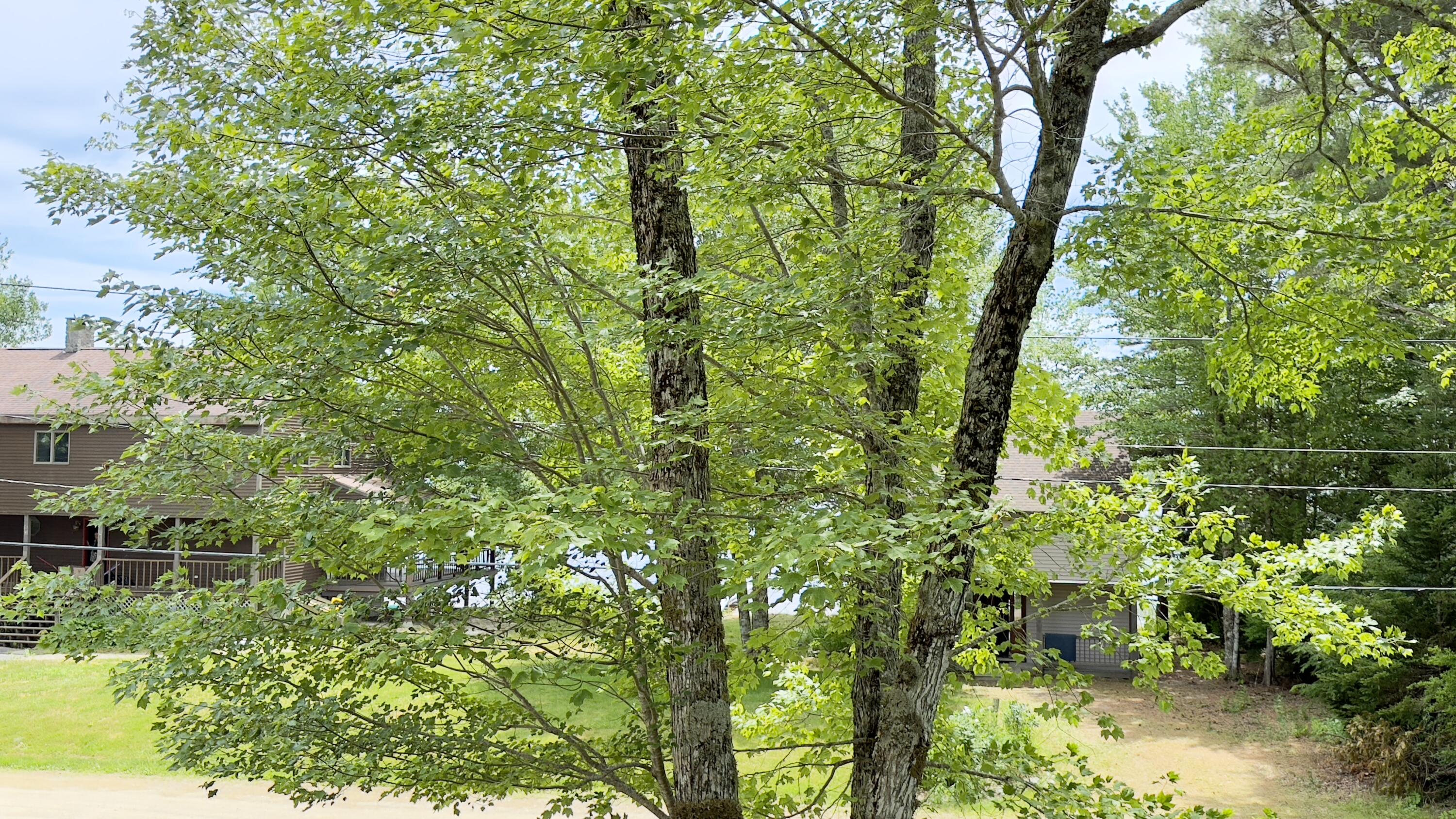 270 Grant Road Sullivan, ME 04664 - Photo 89 of 148 270 Grant Road