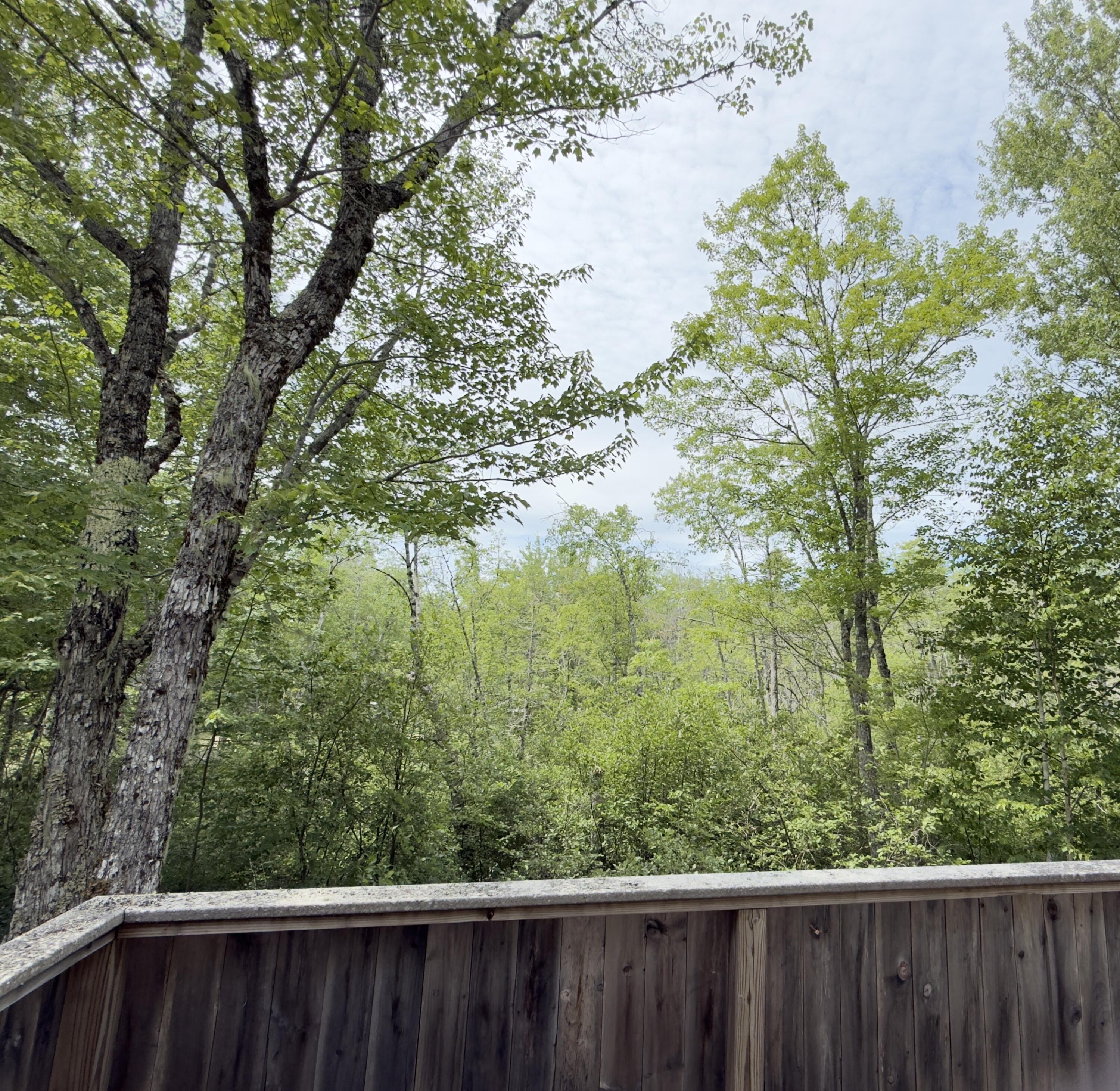 270 Grant Road Sullivan, ME 04664 - Photo 93 of 148 270 Grant Road