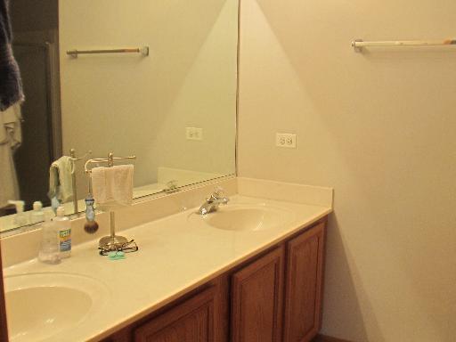279 Ridge Road North Aurora, IL 60542 - Photo 11 of 16 a bathroom with a sink and a mirror