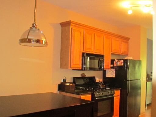 279 Ridge Road North Aurora, IL 60542 - Photo 6 of 16 a kitchen with a sink a stove and a microwave