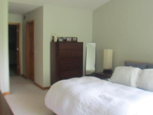 279 Ridge Road North Aurora, IL 60542 - Photo 9 of 16 a bedroom with a bed and cabinets