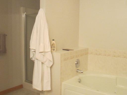 279 Ridge Road North Aurora, IL 60542 - Photo 10 of 16 a bathroom with a shower and a bath tub