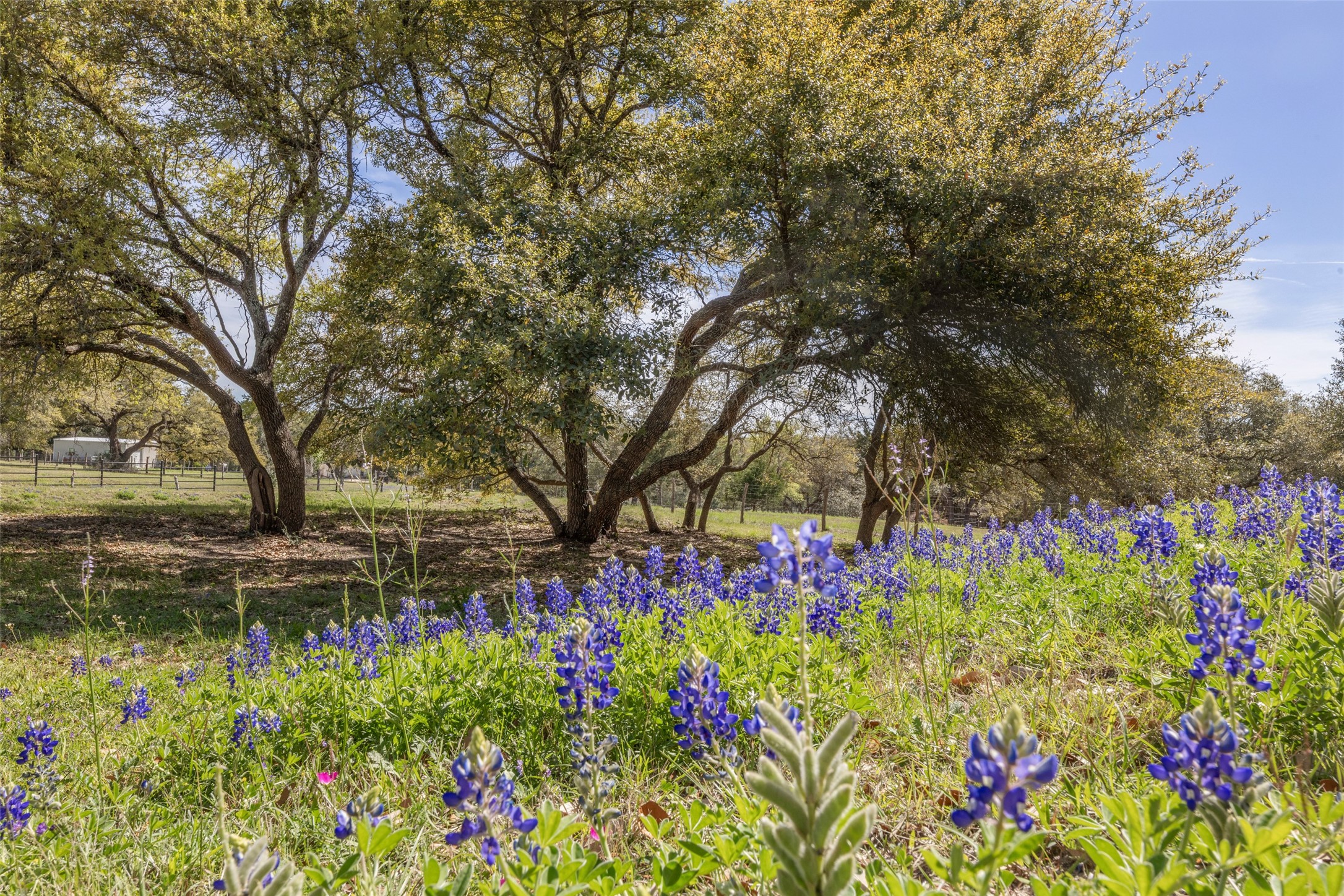 174 Gilmore Road Brenham, TX 77833 - Photo 5 of 50