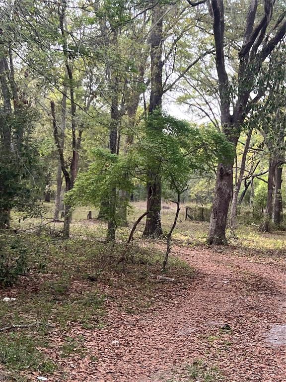 0 Northeast 125th Street Bronson, FL 32621 - Photo 7 of 11