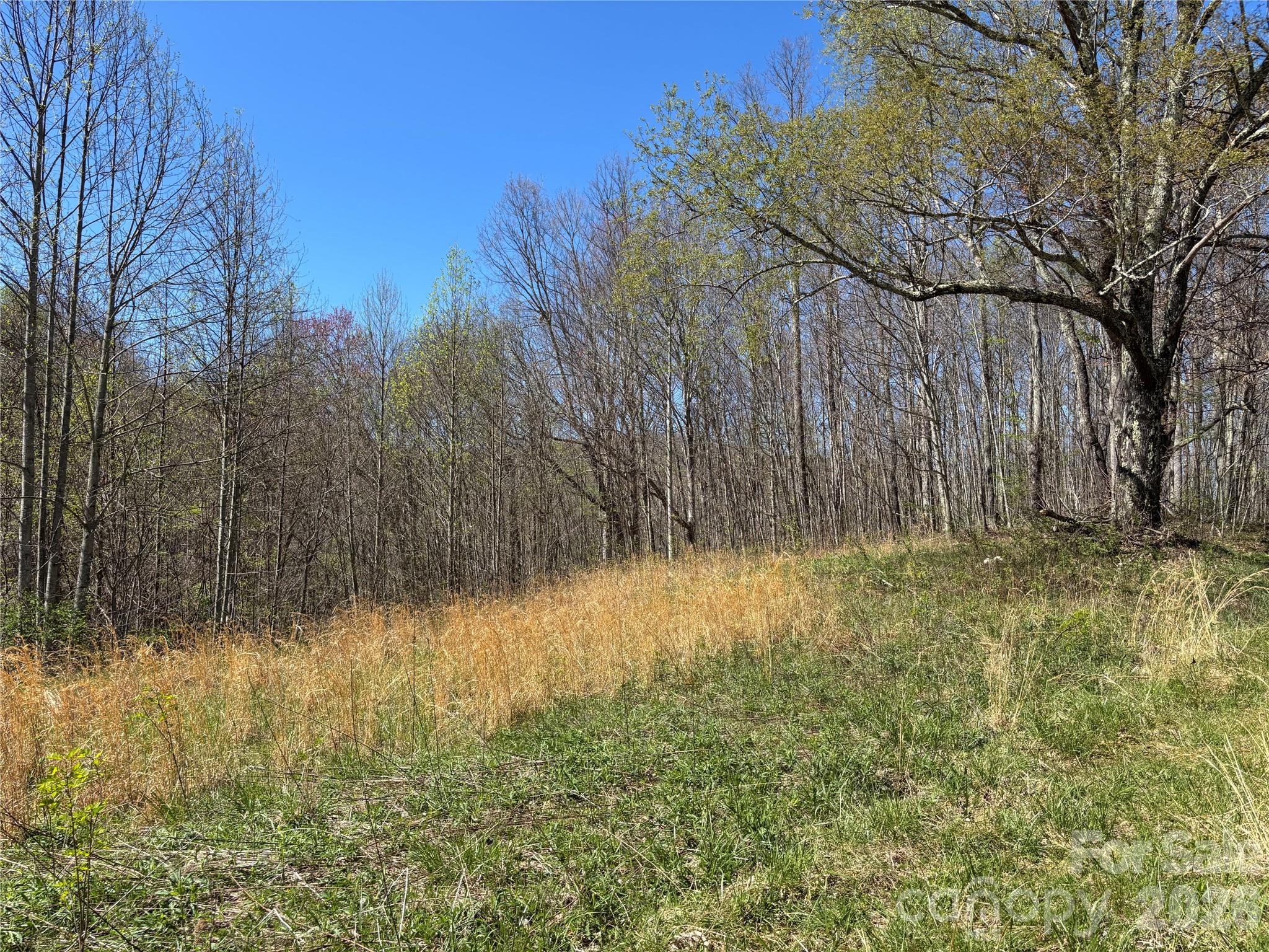 West Lot) Meadow Fork Road Hot Springs, NC 28743 - Photo 12 of 23