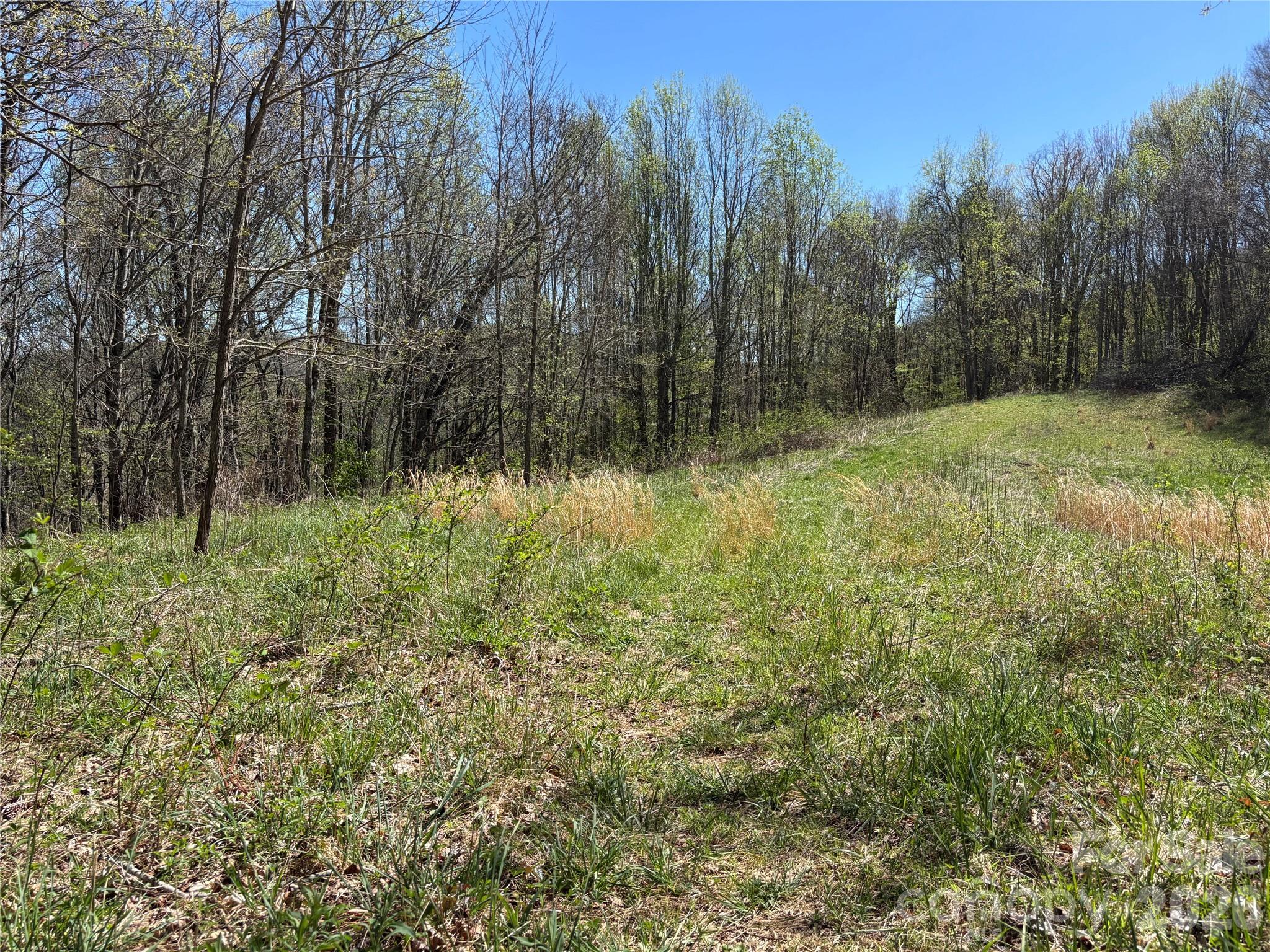 West Lot) Meadow Fork Road Hot Springs, NC 28743 - Photo 13 of 23