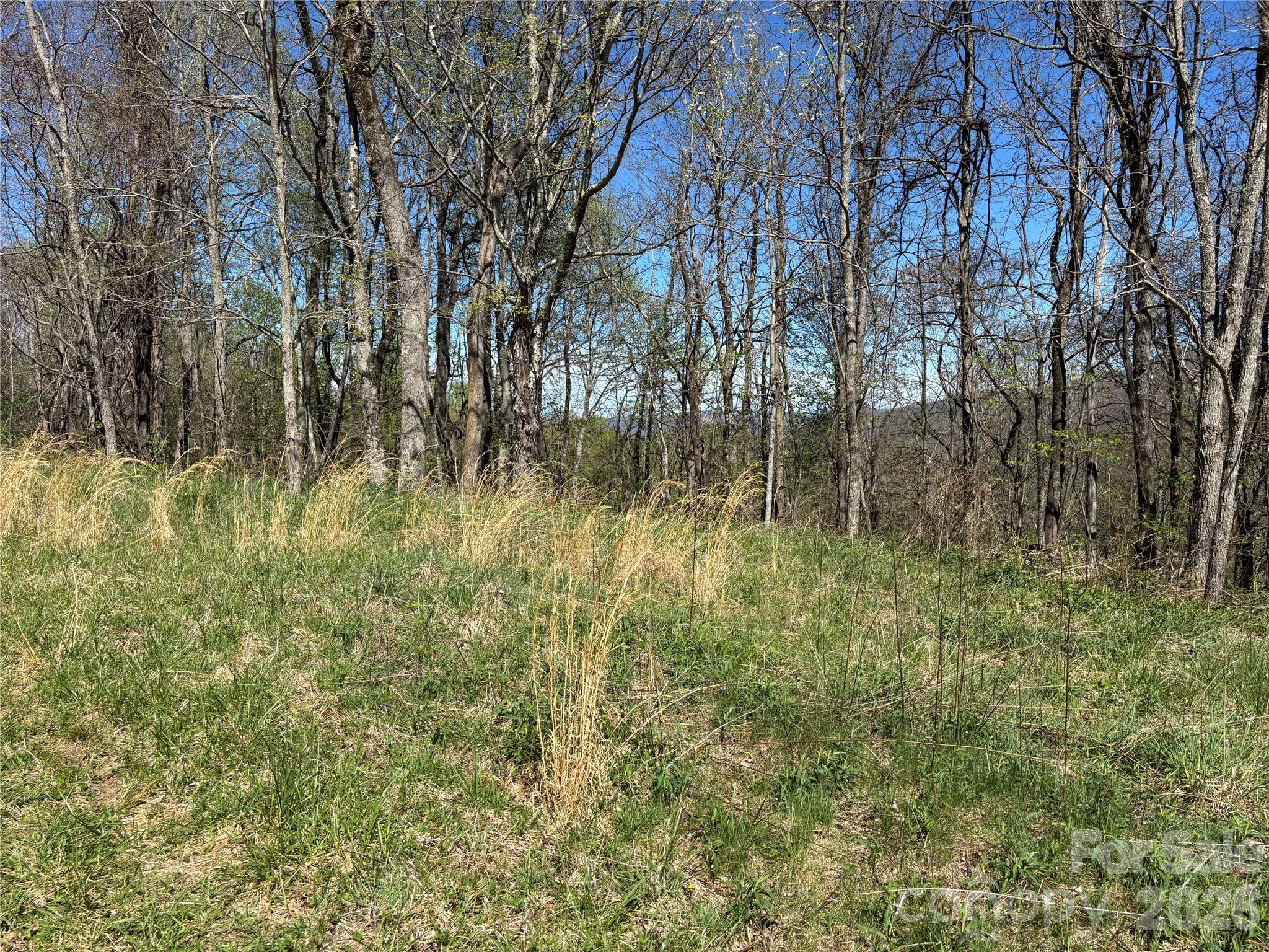 West Lot) Meadow Fork Road Hot Springs, NC 28743 - Photo 15 of 23