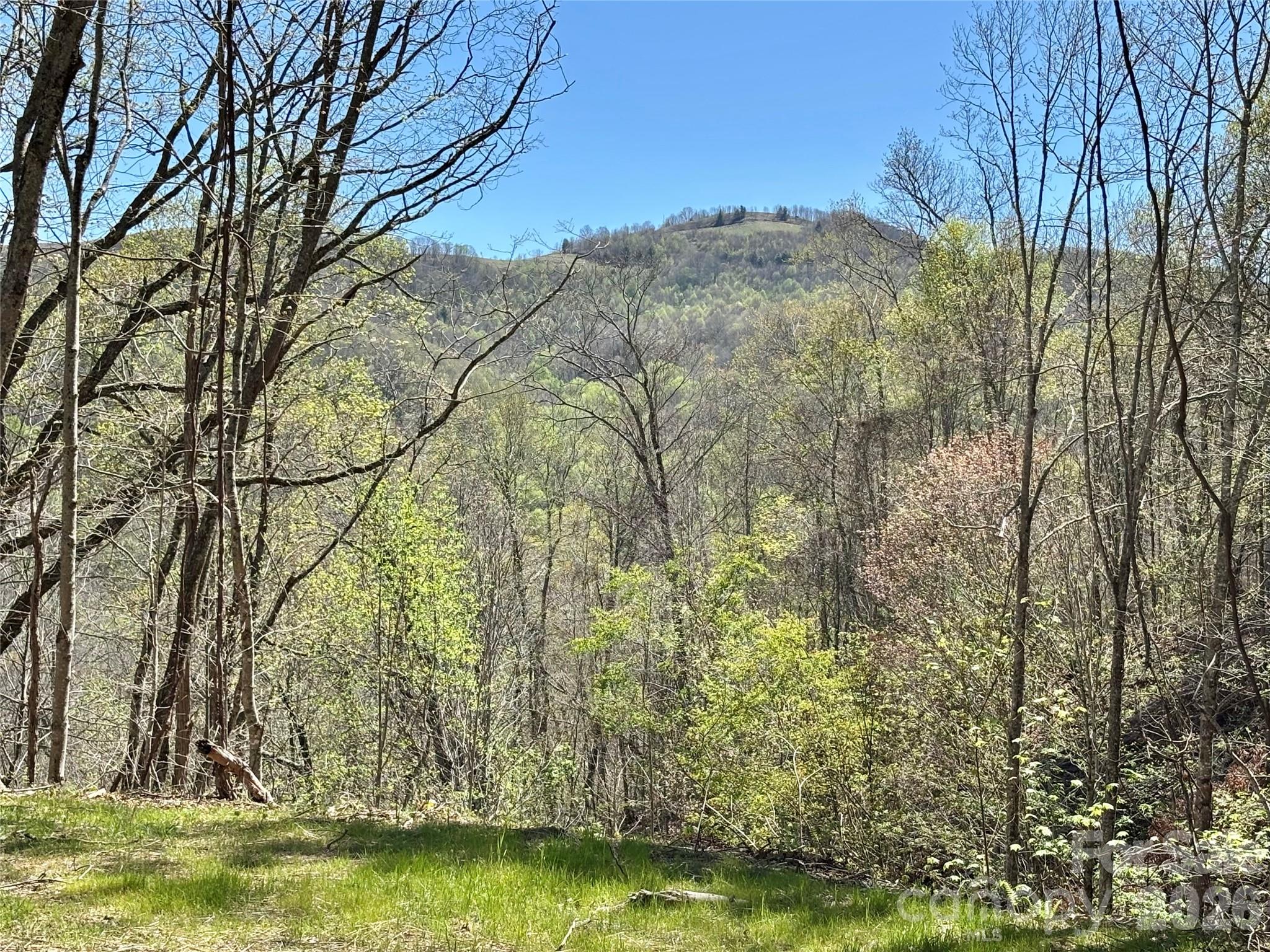 West Lot) Meadow Fork Road Hot Springs, NC 28743 - Photo 6 of 23