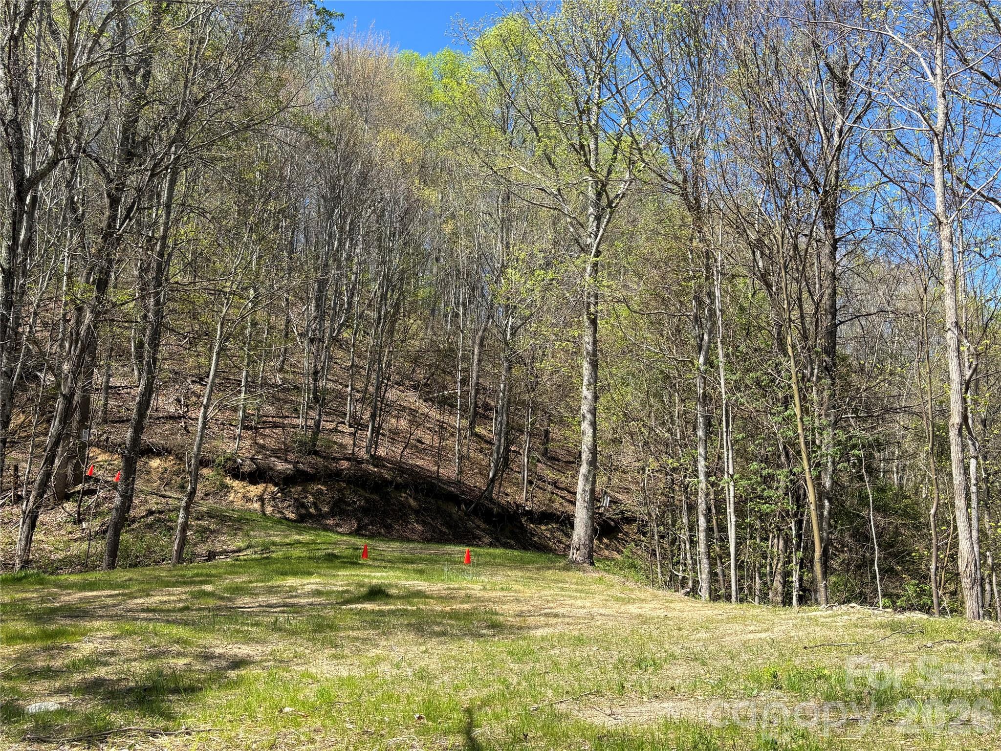 West Lot) Meadow Fork Road Hot Springs, NC 28743 - Photo 7 of 23
