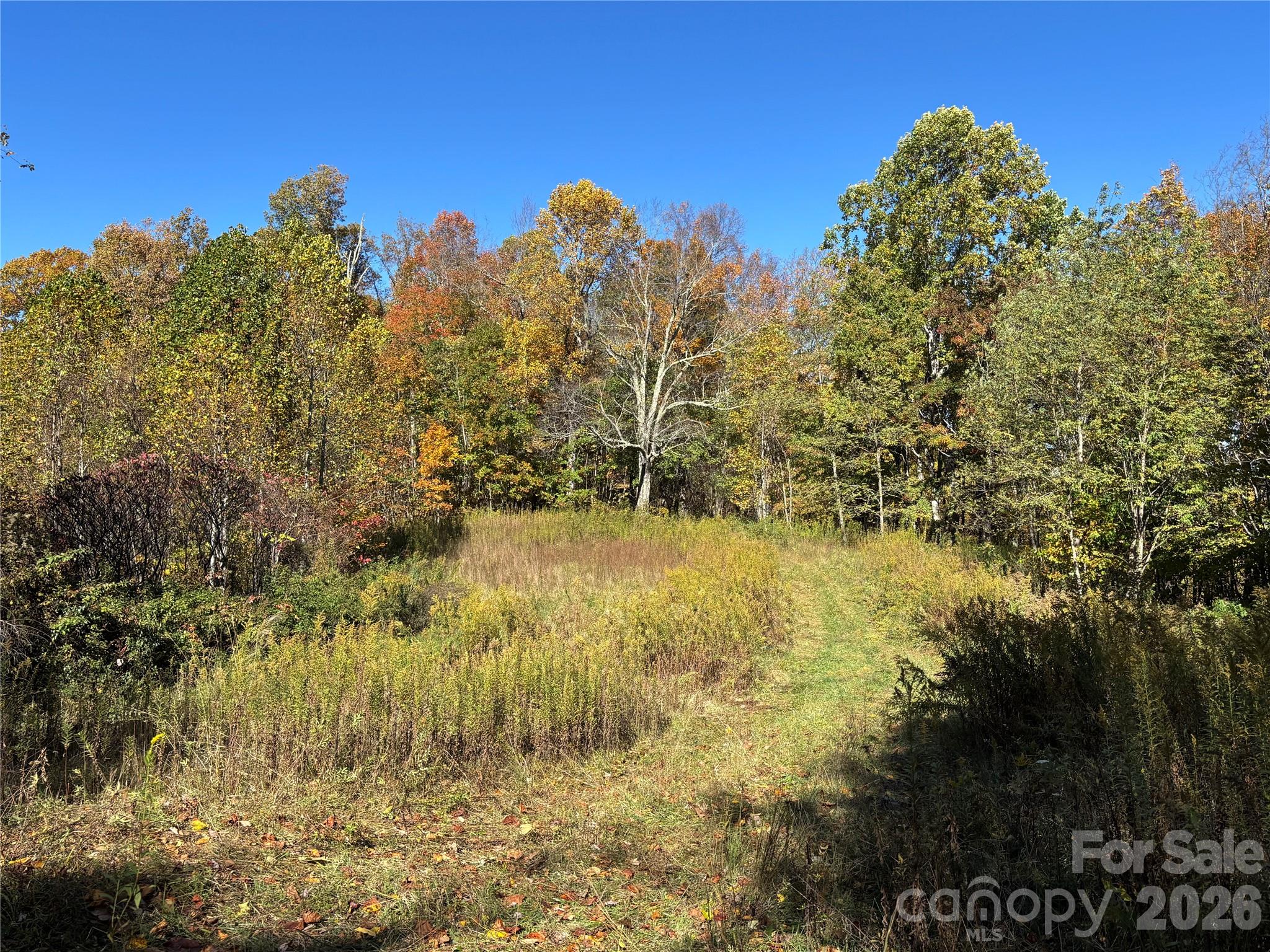 West Lot) Meadow Fork Road Hot Springs, NC 28743 - Photo 10 of 23