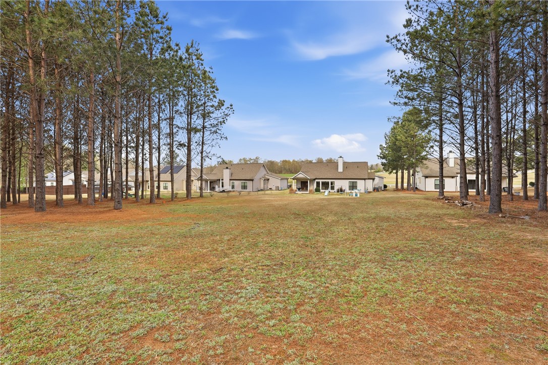 127 West Stewart Street Pelzer, SC 29669 - Photo 11 of 23 This spacious property offers a serene outdoor living experience with ample privacy and lush surroundings.