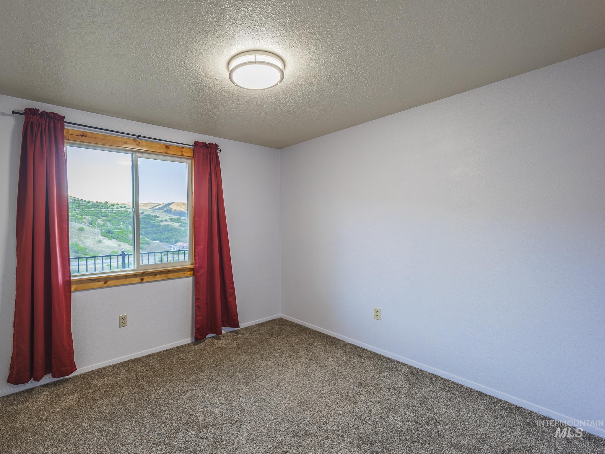 161 Cemetery Road White Bird, ID 83554 - Photo 17 of 48 Carpeted spare room with baseboards and a textured ceiling
