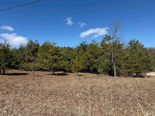 $4,000 | Vl Lot 184 Vl Trail, Barryton, MI 49305