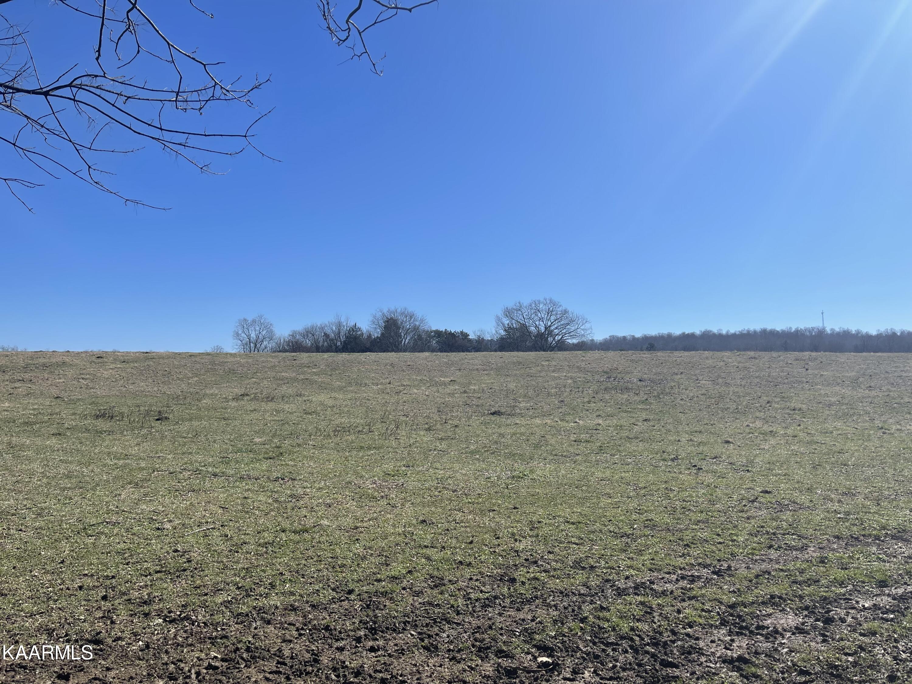 0 Walnut Grove Road Madisonville, TN 37354 - Photo 1 of 4 IMG-3518 (1)