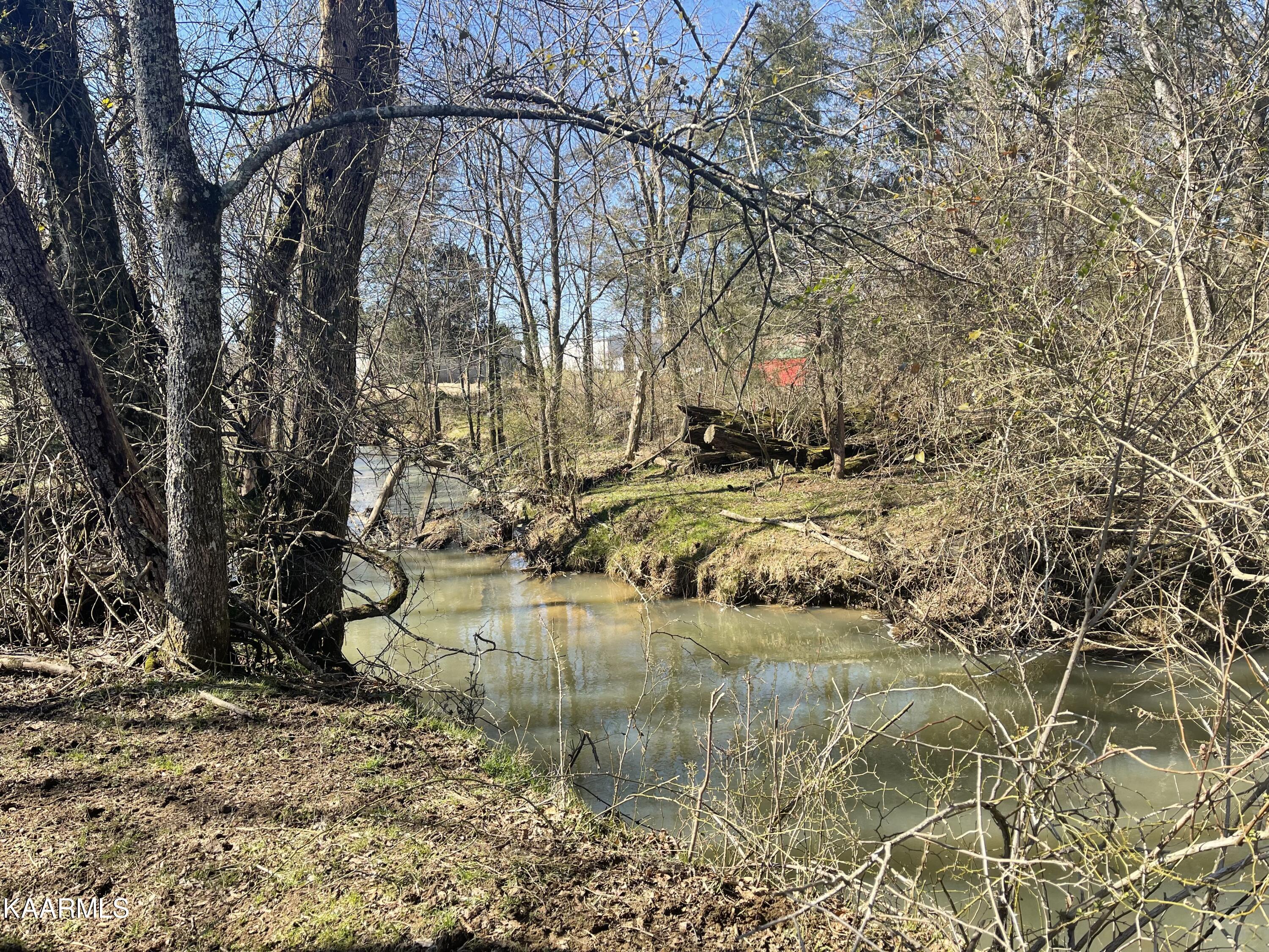 0 Walnut Grove Road Madisonville, TN 37354 - Photo 2 of 4 IMG-3517 (1)