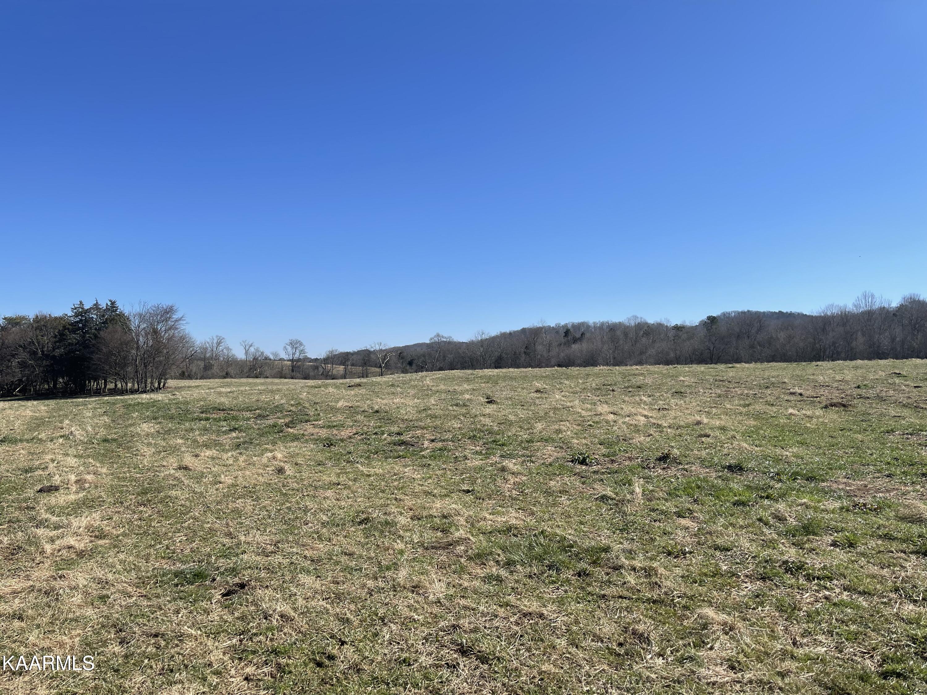 0 Walnut Grove Road Madisonville, TN 37354 - Photo 4 of 4 IMG-3520 (1)