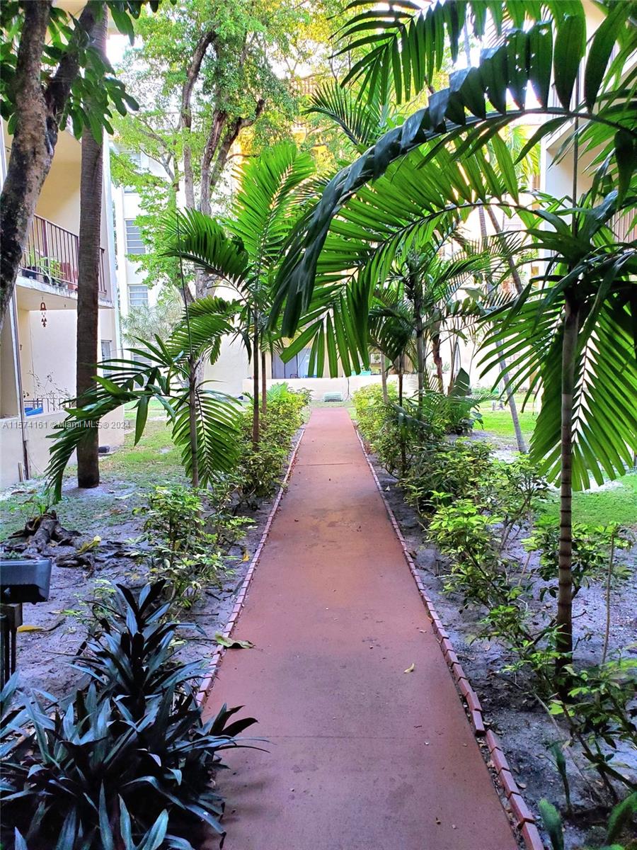 a view of a pathway with a flower plants
