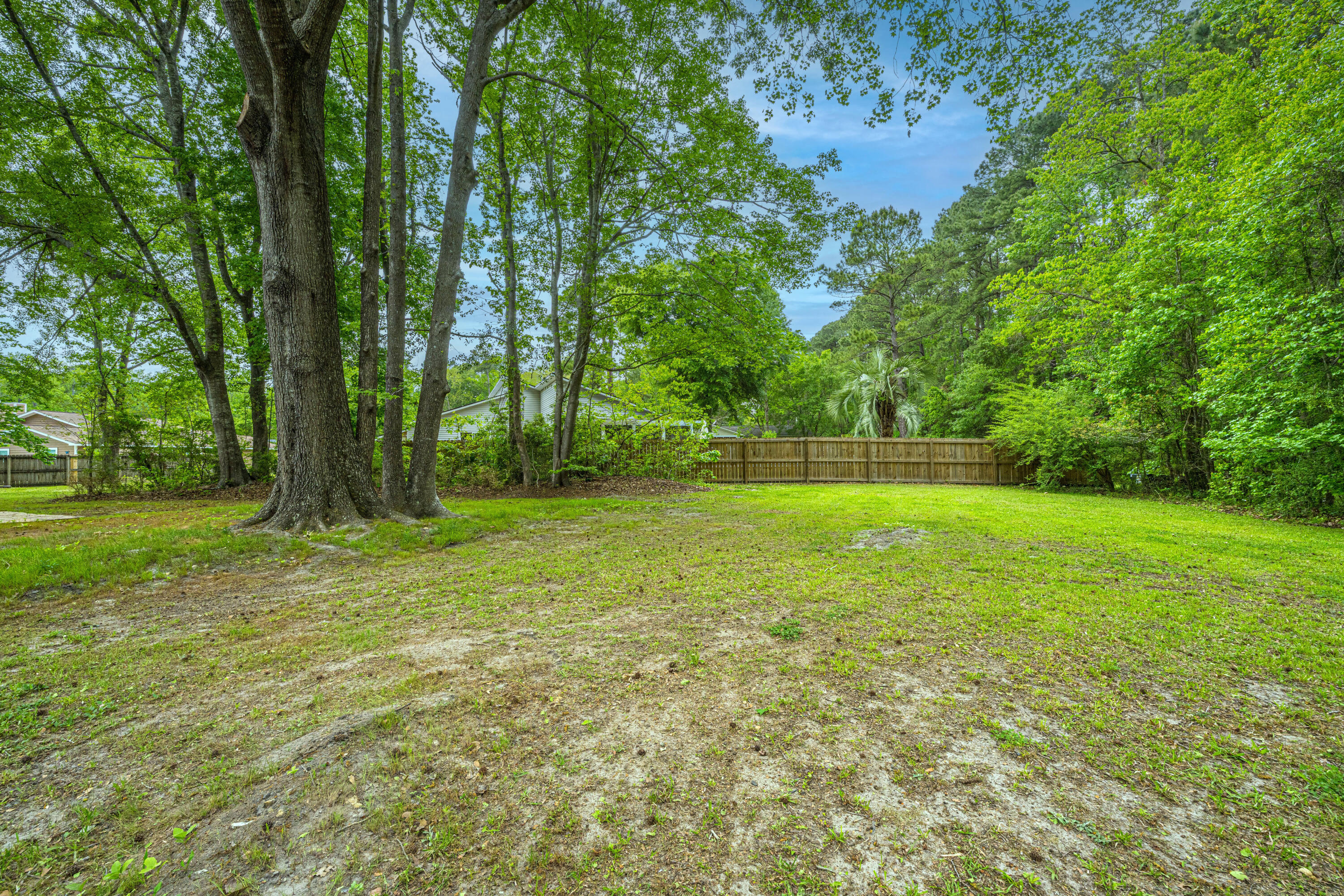 12 Inverary Court Charleston, SC 29414 - Photo 7 of 37 Backyard View.5