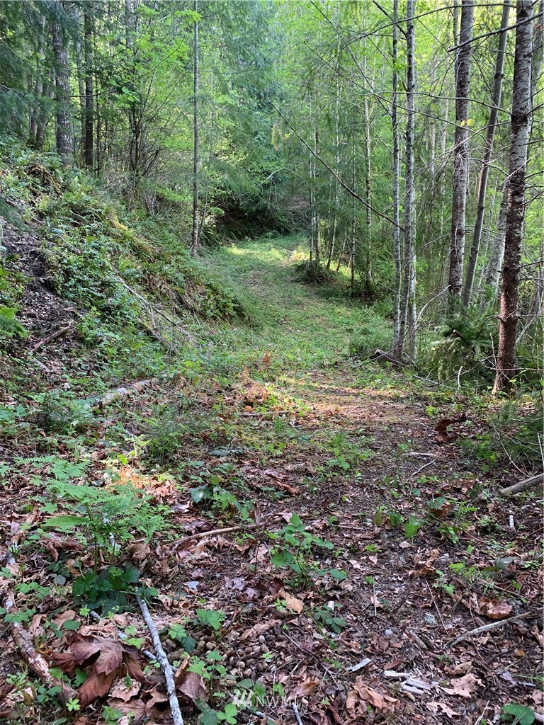 0 Bennett Road Randle, WA 98377 - Photo 2 of 9 Gallery Image 2
