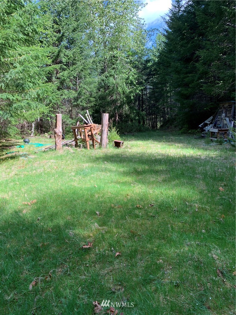 0 Bennett Road Randle, WA 98377 - Photo 5 of 9 Gallery Image 5