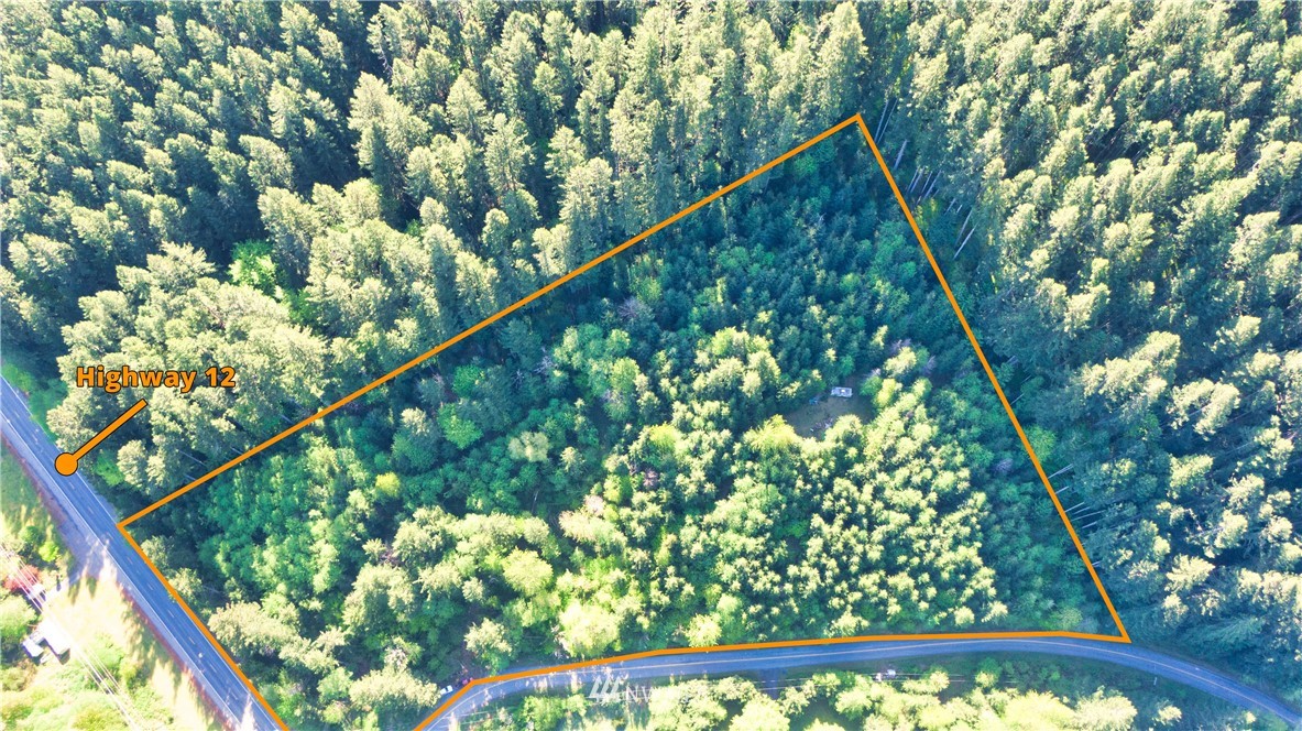 0 Bennett Road Randle, WA 98377 - Photo 9 of 9 Gallery Image 9