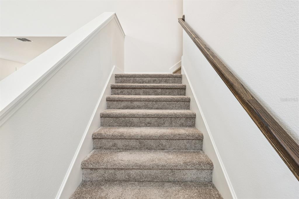 30158 Rustic Mill St Mount Mount Dora, FL 32757 - Photo 17 of 41 a view of entryway