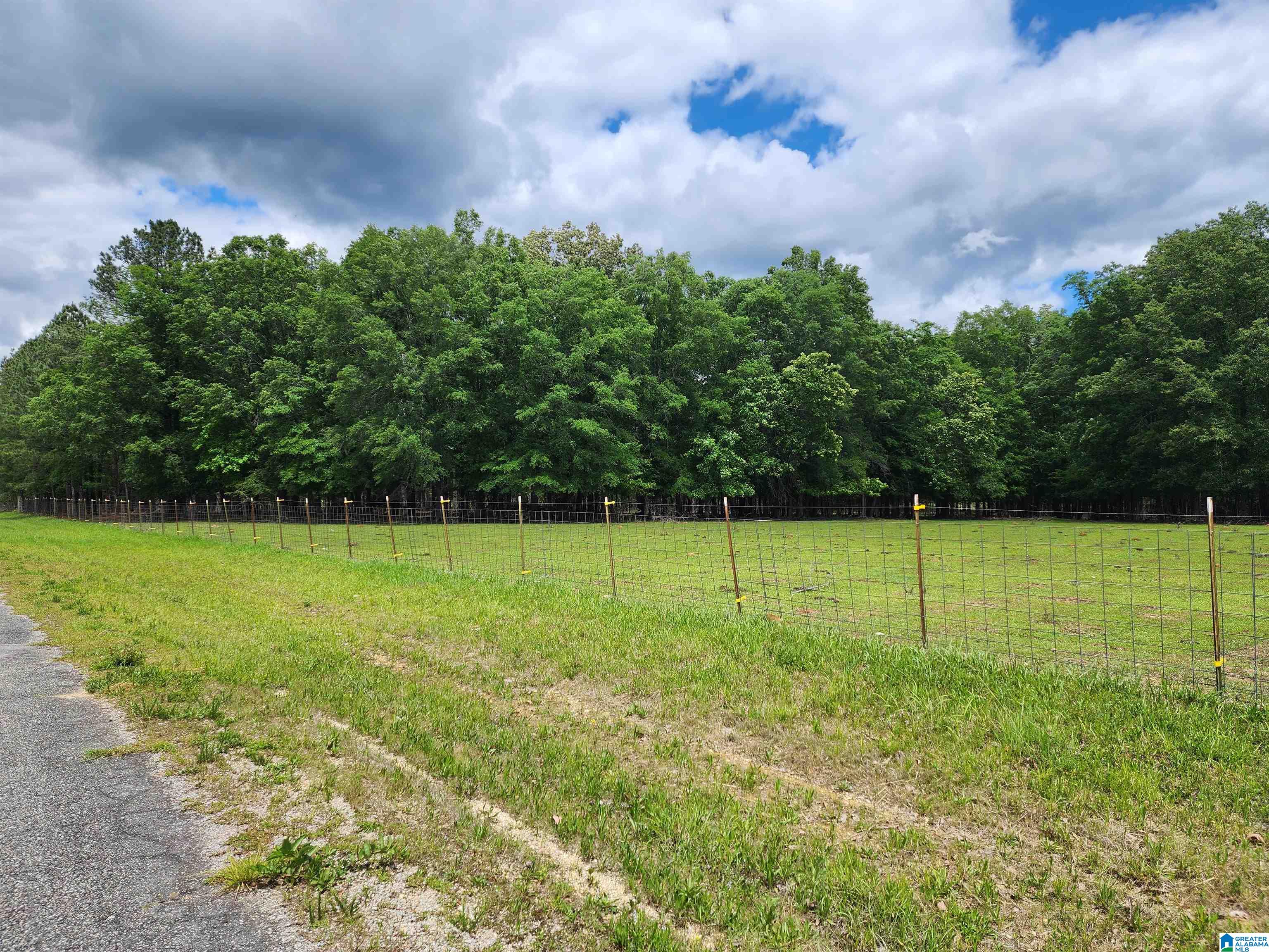 305 Stolle Farm Road, Unit METES AND BOUNDS Ashville, AL 35953 - Photo 5 of 7