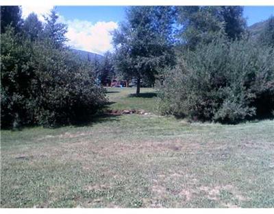 1885 Buffehr Creek Road, Unit 2 Vail, CO 81657 - Photo 5 of 6 a view of a yard with a tree