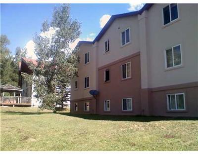 1885 Buffehr Creek Road, Unit 2 Vail, CO 81657 - Photo 6 of 6 a house view with garden space