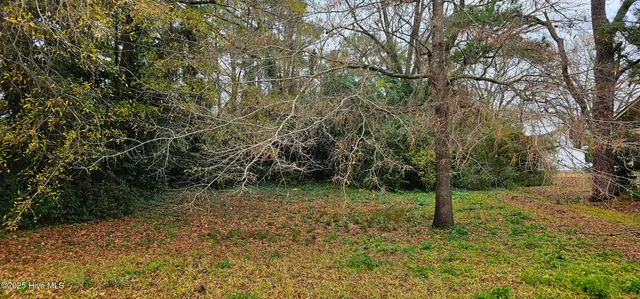 $34,850 | 207 East South Street, Rose Hill, NC 28458