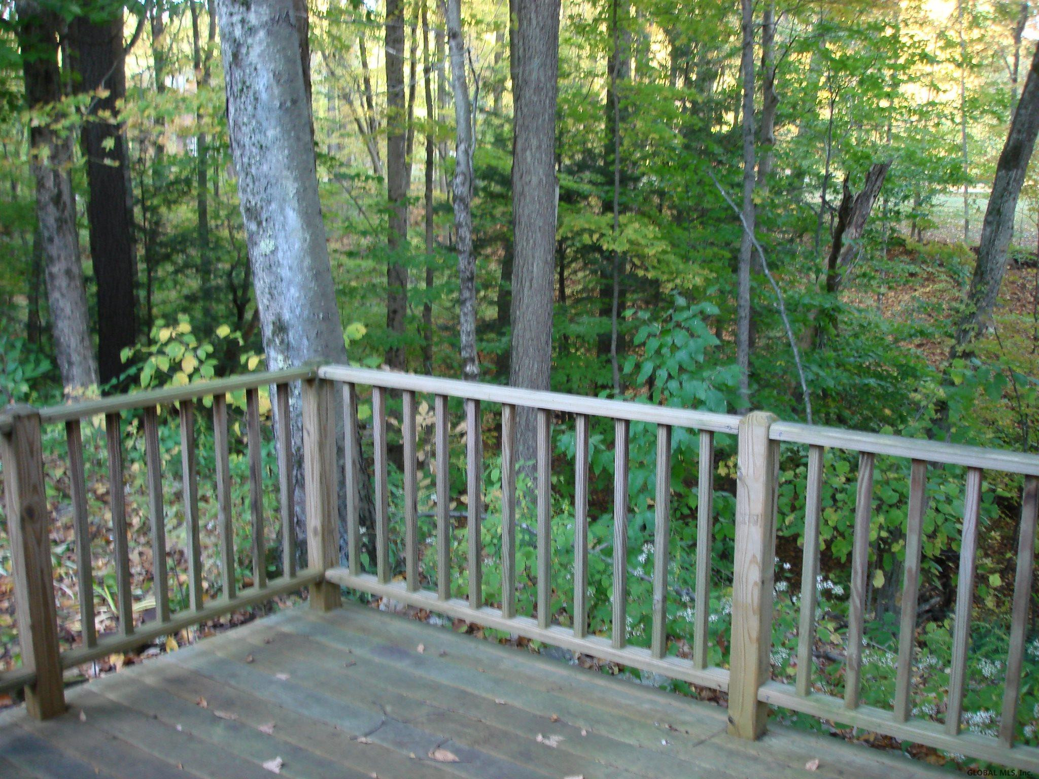 260 Braim Road Greenfield, NY 12833 - Photo 28 of 33 Photo 29