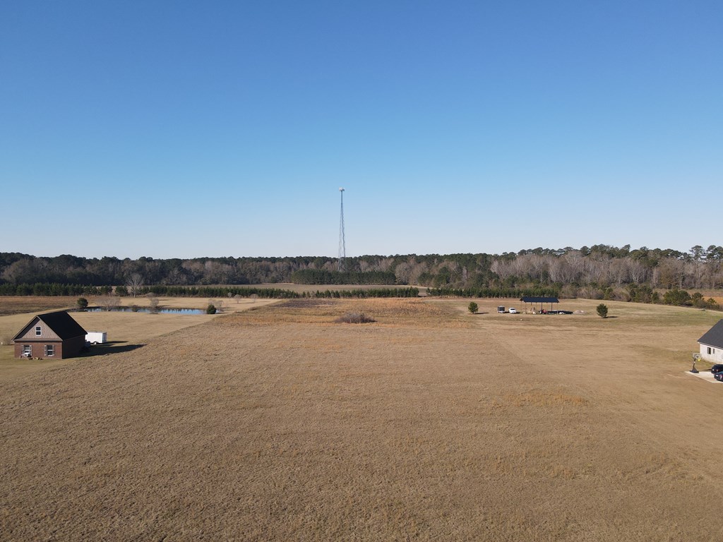 0 County Road 39 Road Headland, AL 36345 - Photo 5 of 7