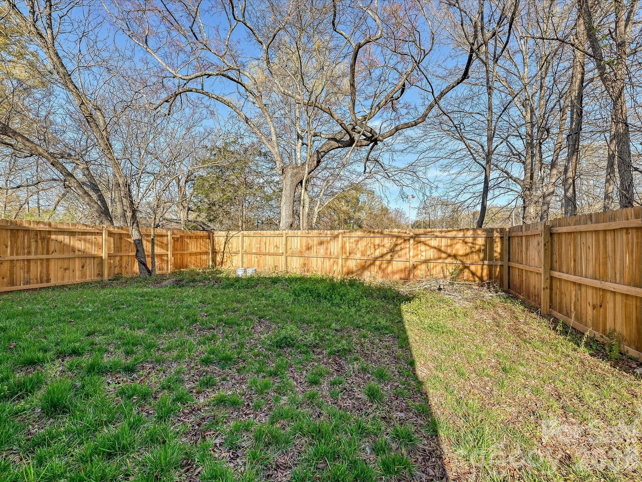 624 Harrison Street Rock Hill, SC 29730 - Photo 24 of 25 a view of backyard with tree