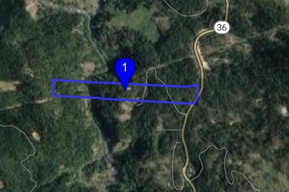 0 Stagecoach Road Bridgeville, CA 95526 - Photo 7 of 24