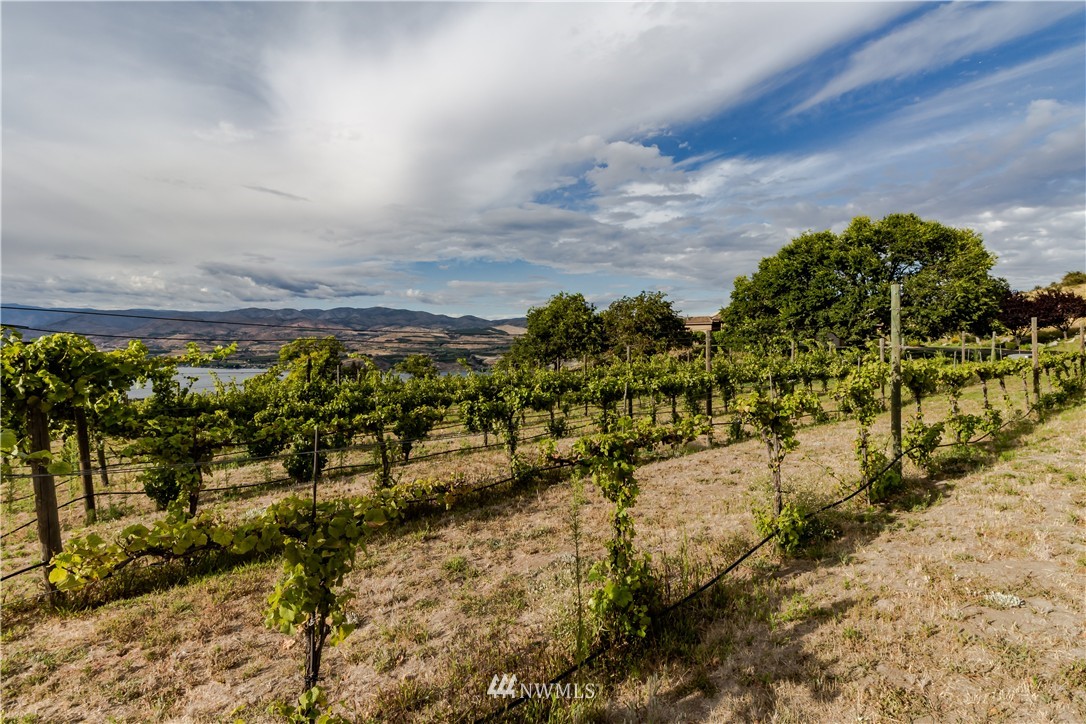 770 Hawks Meadow Road Chelan, WA 98816 - Photo 8 of 25 Gallery Image 8
