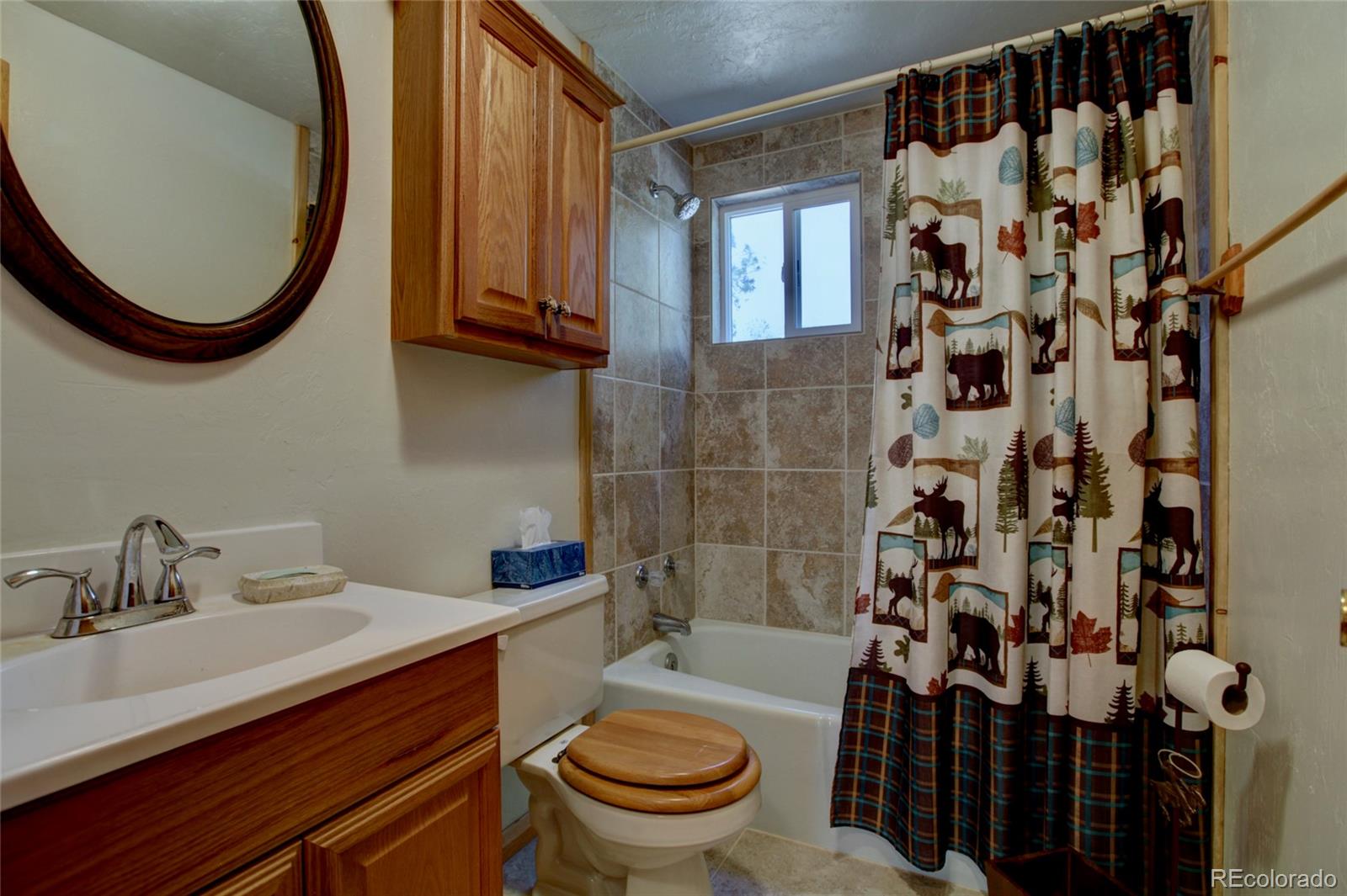 530 Red Feather Road Cotopaxi, CO 81223 - Photo 22 of 46 a bathroom with a sink toilet and shower