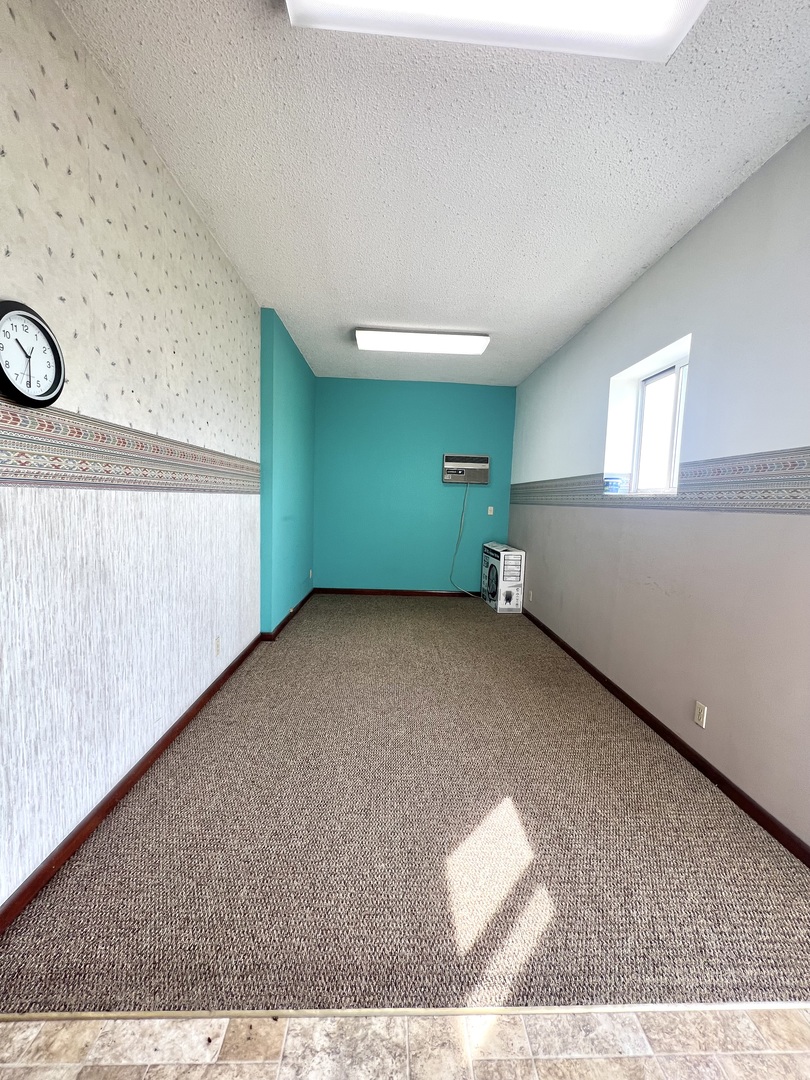 509 South Tanner Street Rantoul, IL 61866 - Photo 5 of 13 a view of a big room with windows