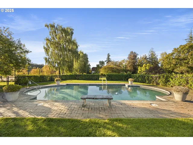 a view of a park with large trees