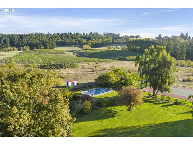 a view of a yard with a tree