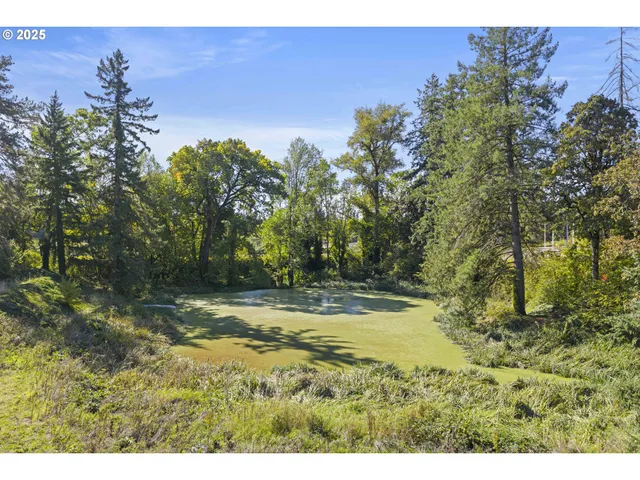 a kitchen with stainless steel appliances granite countertop a stove and a refrigerator