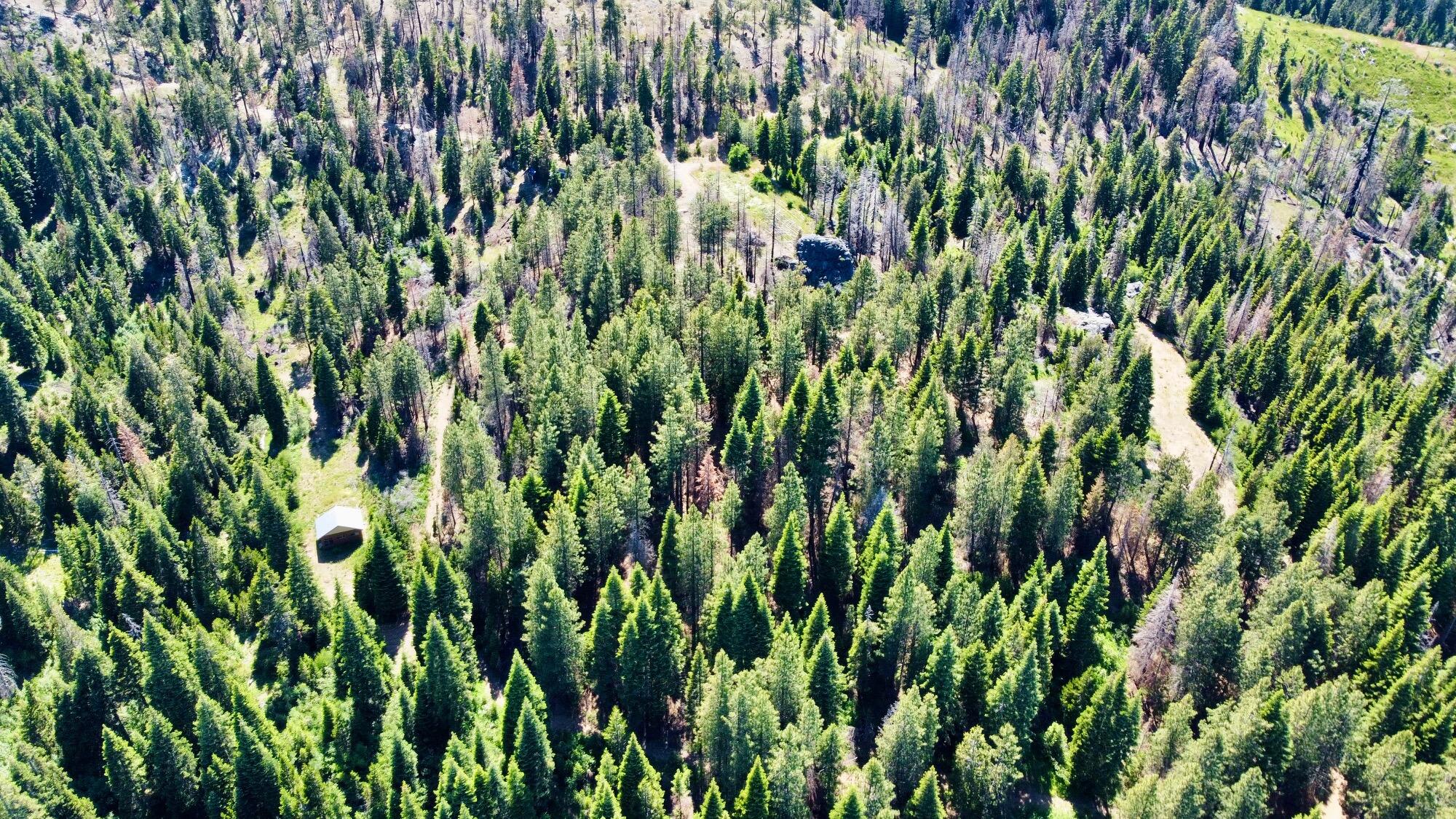 40-acres 40-acres Ammon Ridge Road Willow Creek, CA 95573 - Photo 11 of 28