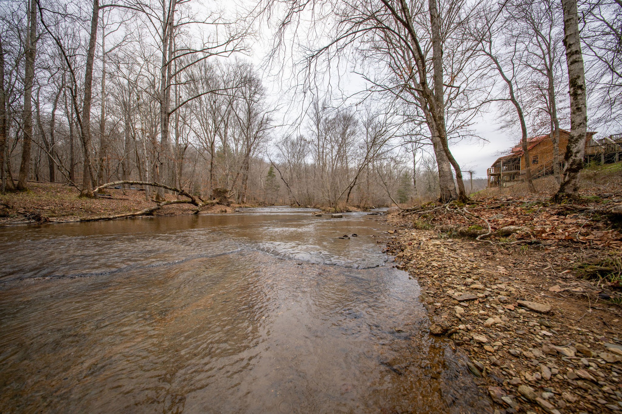 323 Spring Creek Road Lawrenceburg, TN 38464 - Photo 37 of 49 a backyard of a house with trees