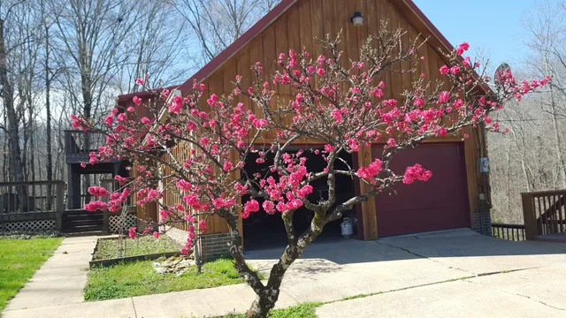 $825,000 | 323 Spring Creek Road, Lawrenceburg, TN 38464