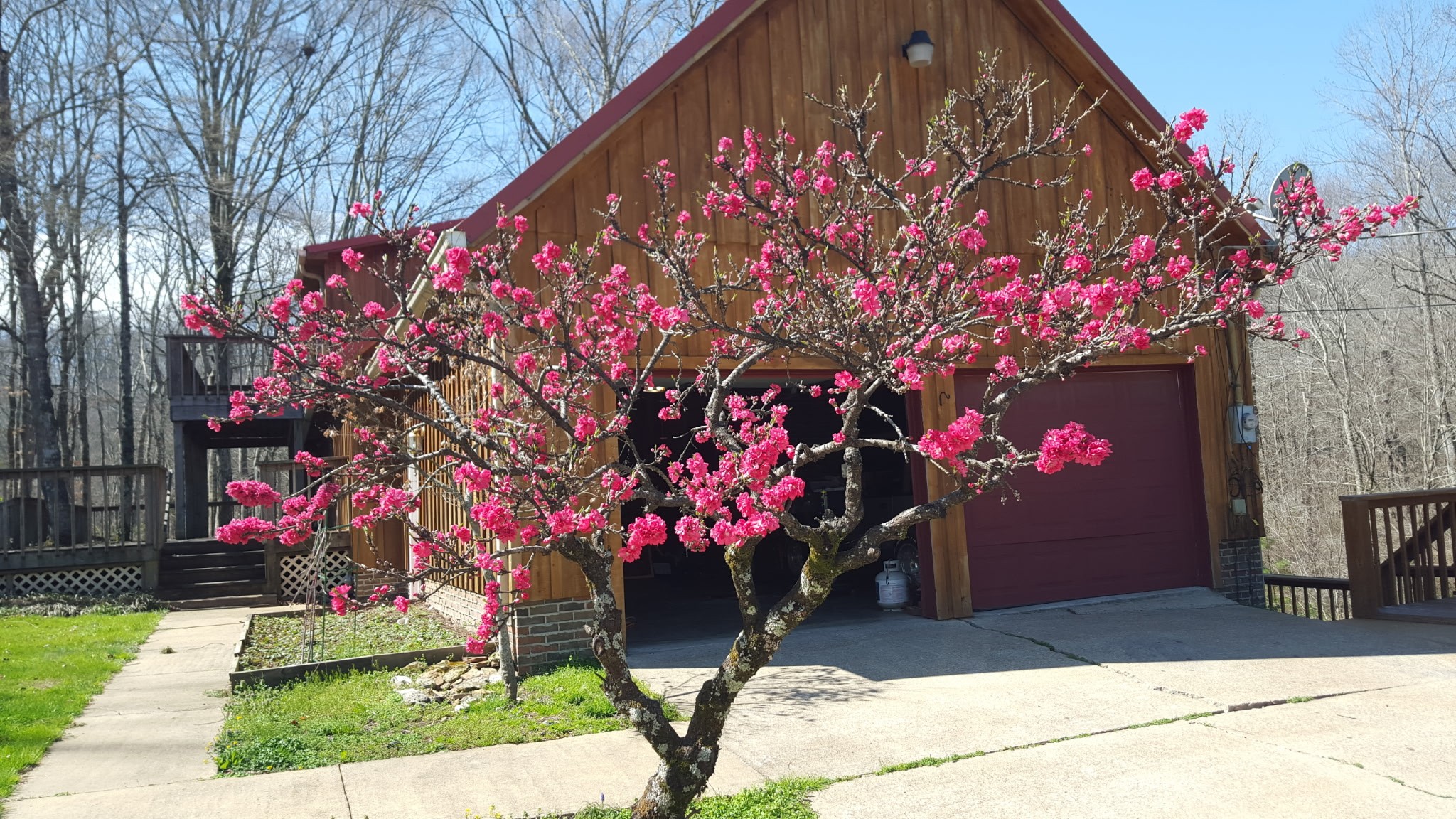 323 Spring Creek Road Lawrenceburg, TN 38464 - Photo 4 of 49 a front view of a house